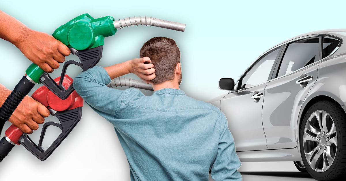 Regular o Premium? Conoce la gasolina adecuada para tu carro