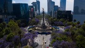 La fortaleza de la Ciudad de México