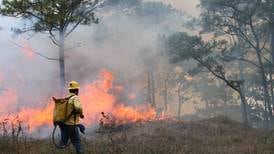 Onda de calor en México: ¿Cuántos incendios forestales hay activos?