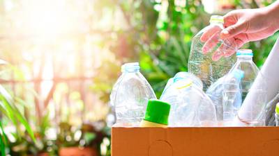 ‘Natural y no plastic’: Empresas apuestan por empaques biodegradables 