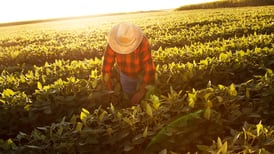 Sagarpa actualiza el plan agrícola nacional 2018  
