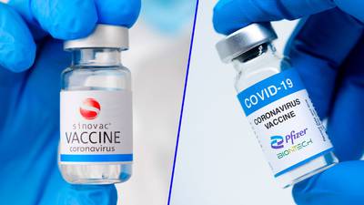 Combo de vacunas Sinovac y Pfizer amplía protección contra COVID: estudio