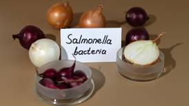 ¿Por qué un alimento puede causar salmonelosis?