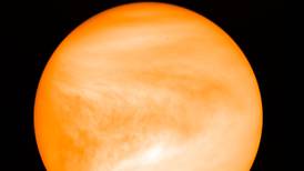 ¿Vida en Venus? Científicos hallan indicios de microbios