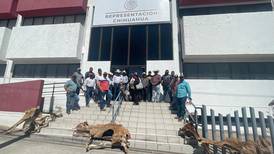Ganaderos arrojan cadáveres de reses para exigir apoyos por sequía en Chihuahua