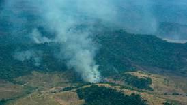 Brasil prohíbe quemas controladas por 60 días para disminuir crisis de incendios en la Amazonia