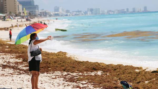 ¿Vas al caribe? Estas son las playas más afectadas por el sargazo en Quintana Roo