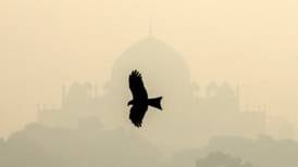 Nueva Delhi es la capital más contaminada del mundo... ¿Y la CDMX?