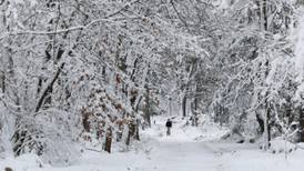 EU vive su primera tormenta invernal de 2024: Reportan 3 muertos y cortes a la luz