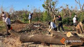 ‘Otis’ dañó también la naturaleza: Devastó 80% de árboles del parque Papagayo en Acapulco