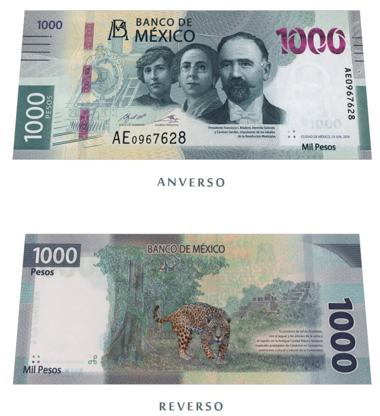 Pedagogía Seguro pedir Estas son las características del nuevo billete de 1000 pesos – El  Financiero