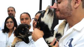 ¡Adopta, no compres! Inauguran en Tepito primer hotel para perros y gatos abandonados