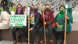 Asamblea de Ecuador decidirá sobre Ley de Interrupción del Embarazo por Violación