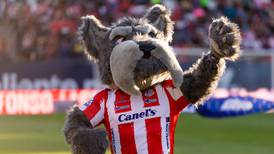 Atlético San Luis presenta a ‘Lucho’; estas son las diferencias entre un Schnauzer y un Terrier