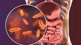 ¿Cómo las bacterias de tu flora intestinal te pueden proteger (o no) del COVID?