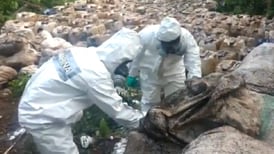 Marina decomisa al menos 50 toneladas de droga sintética en Sinaloa
