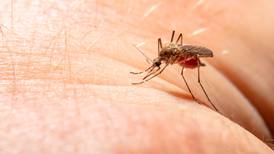 Paludismo ‘invade’ Tamaulipas: Estos son los síntomas de la enfermedad