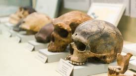 Homo Nesher Ramla, nuevo antecesor del humano descubierto en Israel