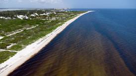 Hay ‘alerta roja’ en playas de Yucatán: piden a turistas no meterse al mar