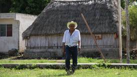 Apicultores de zona maya de Quintana Roo urgen control a la venta de agroquímicos