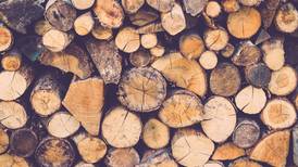 Quemar madera, ¿una alternativa como fuente de energía limpia?