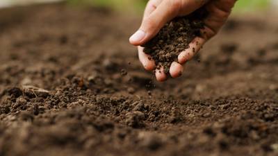 Salud y condición del suelo, clave para mejorar la producción agrícola