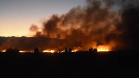 Continúan labores para sofocar incendio en Parque Ecológico Xochimilco
