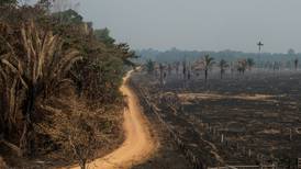 COP26: 100 países se comprometen a revertir la deforestación para 2030