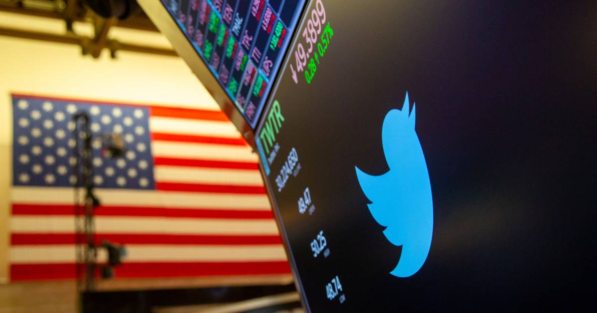 Bots, die dafür verantwortlich sind, Musk auf Twitter „abzuschalten“ – El Financiero