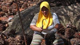 Mujeres sufren abuso y explotación en la producción de aceite de palma, usado por marcas de belleza
