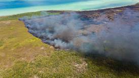 Incendio afecta 20 hectáreas en área protegida de Veracruz 