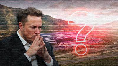 Ya salió el peine, Elon Musk y tú comparten la misma preocupación