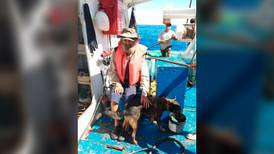 Náufrago australiano llega a Manzanillo: Esta fue su experiencia con su perrita Bella