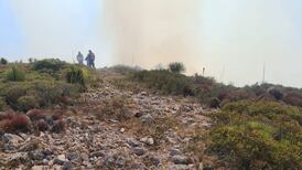 Se incendian unas 405 hectáreas de la Región Wirikuta