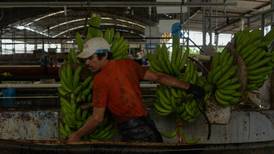 Sader desarrolla plan para diversificar exportaciones agroalimentarias
