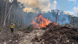 Bacalar, el municipio más afectado por incendios forestales en Quintana Roo