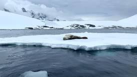 ‘Crisis’ en la Antártida: Capa de hielo se derrite a velocidad y pone en ‘jaque’ a la humanidad