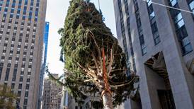 La Navidad llega a NY con el tradicional encendido del árbol... pero bajo normas de cuarentena
