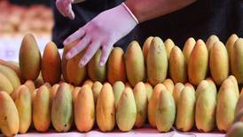 La producción y el precio del mango en Nayarit cae 50% 