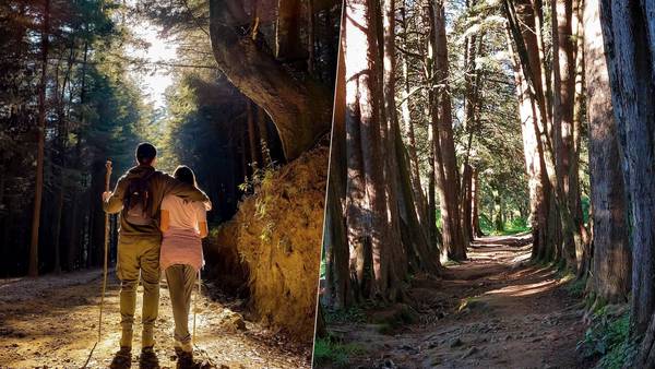 Sal a disfrutar del bosque: 5 lugares en la CDMX para hacer senderismo