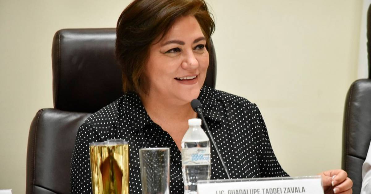 PERFIL: Ella es Guadalupe Taddei Zavala, consejera presidenta con 20 años de experiencia en el INE – El Financiero