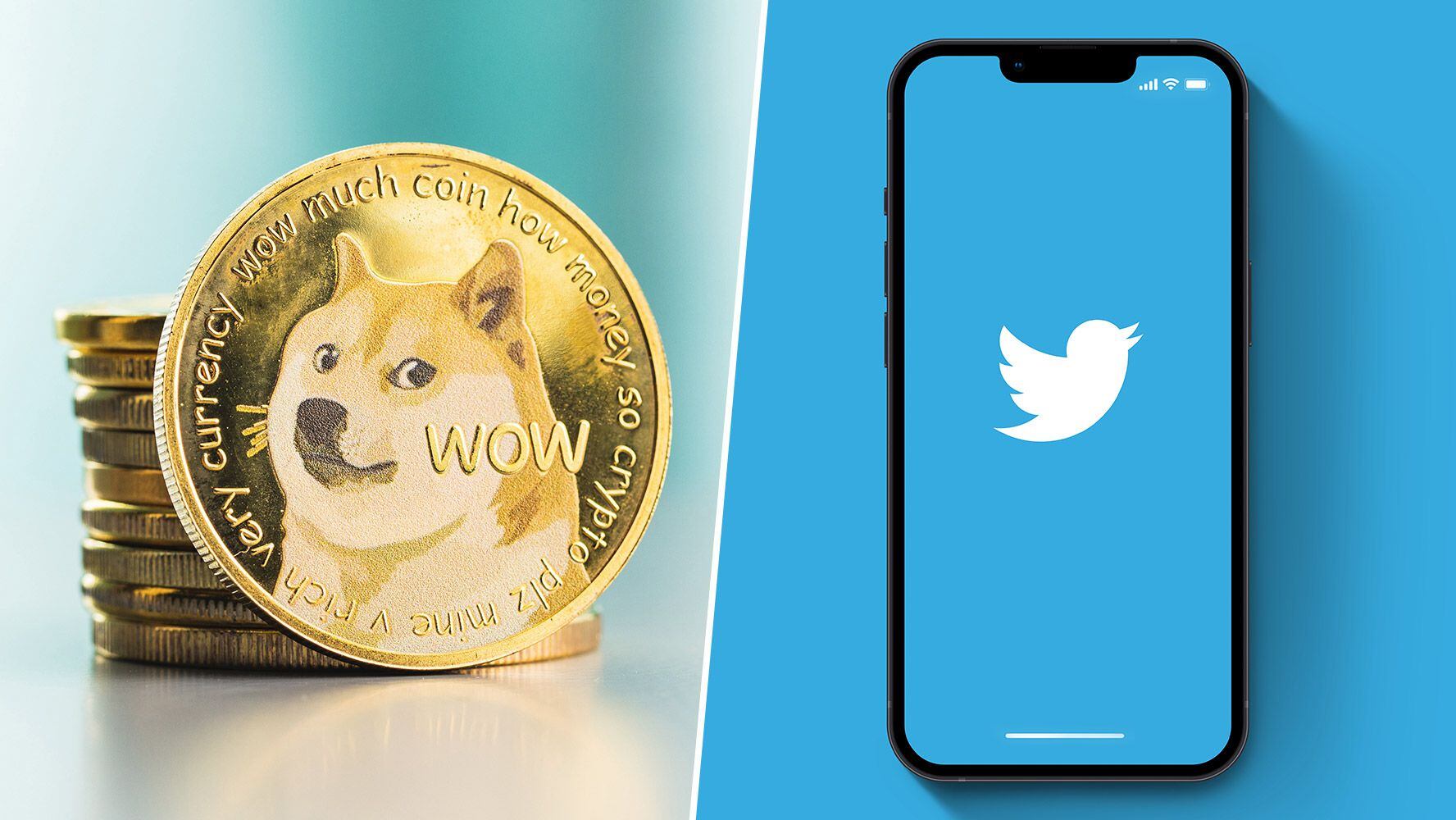 Cuánto cuesta un Dogecoin, criptomoneda impulsada por Elon Musk y que es  logo de Twitter? – El Financiero