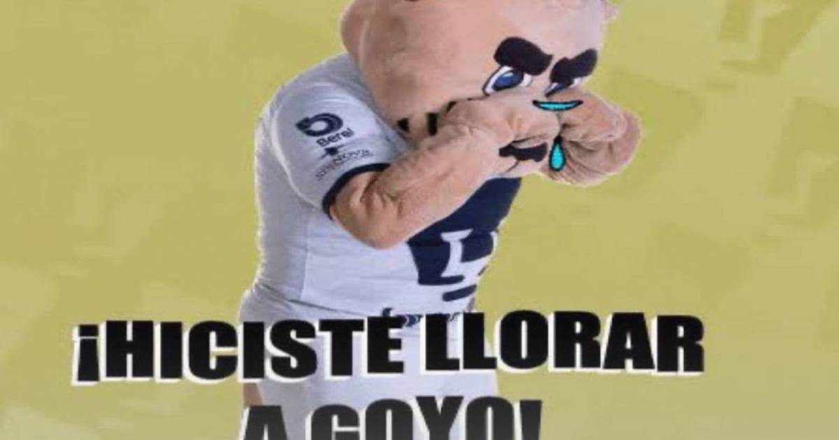 Tygrys i memy rządzą Pumami po ich wyeliminowaniu z ligi MX Apertura Liguilla 2023 – Fox Sports