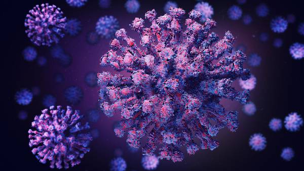 Henipavirus: Esto sabemos de ‘Hendra’, el ‘peligroso’ transmisor del nuevo virus detectado en China