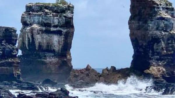 ¿Por qué colapsó el Arco de Darwin en las islas Galápagos? Aquí te contamos