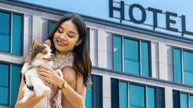 Vacaciones de verano 2023: Hoteles pet-friendly para vacacionar con tu ‘perrhijo’