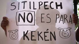 Protestas en Yucatán por granjas porcinas de Kekén: Detienen a 4 personas en Sitilpech