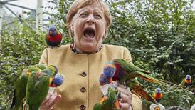 Una última de Ángela Merkel, posa con loros y la picotean 