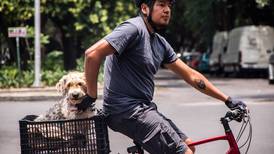 Día del Perro en México: ¿Cuándo se celebra y por qué queremos tanto a los ‘lomitos’?