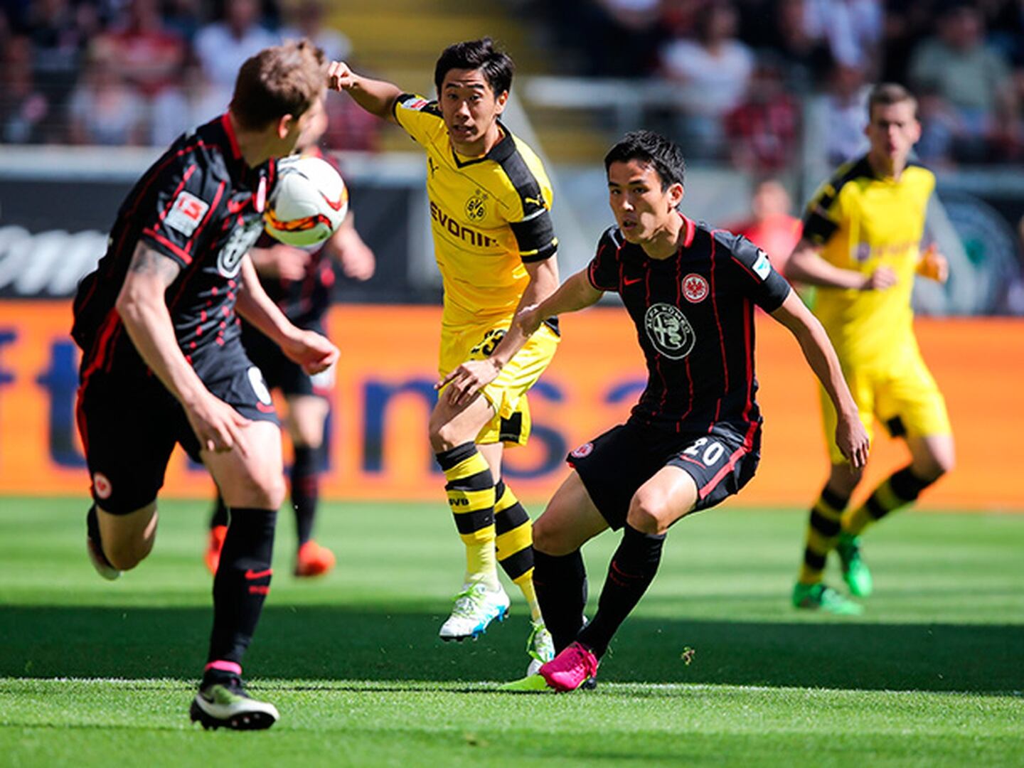 Eintracht bajó al Dortmund y sueña con salvarse